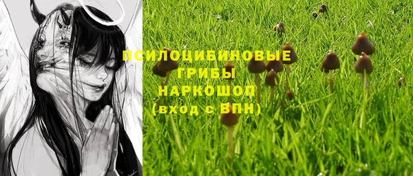 амф Заводоуковск