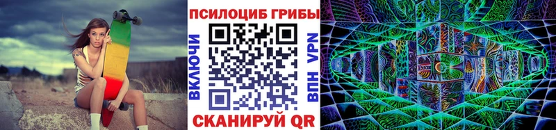 Псилоцибиновые грибы прущие грибы  Купить  Хилок 